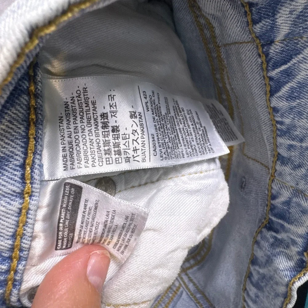 Levis levi strauss